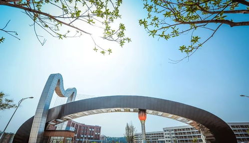 2020年繼續(xù)組織美術(shù)校考的院校名單及考試內(nèi)容 已更新21所