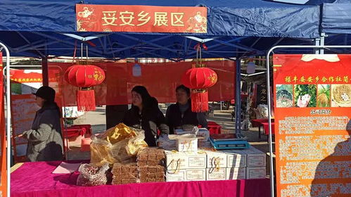 祿豐縣2020年 精準(zhǔn)扶貧電商年貨 購物節(jié)暨綠色食品產(chǎn)銷對接活動在恐龍文化藝術(shù)廣場舉行
